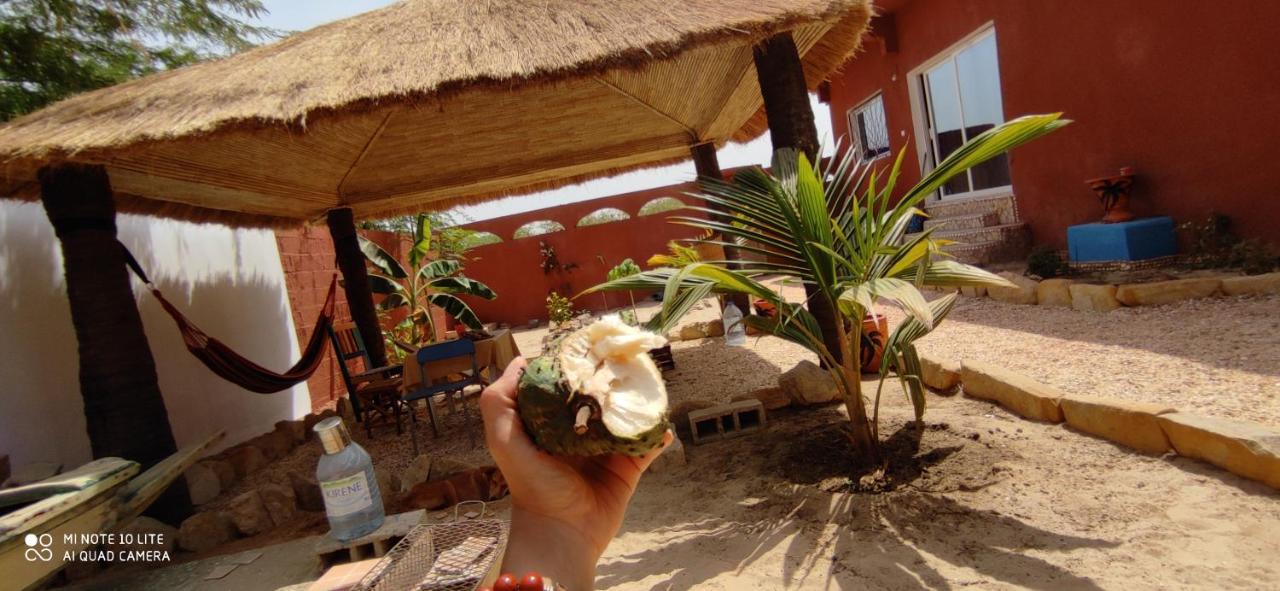 Zion - Lily'S Paradise Toubab Dialao Exterior foto
